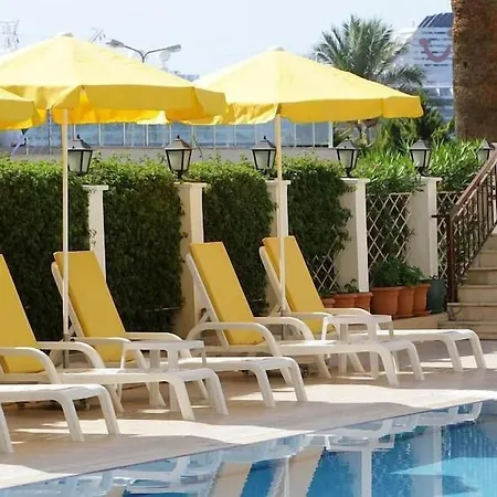 Отель Palm 4*