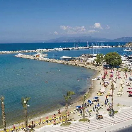 Palm