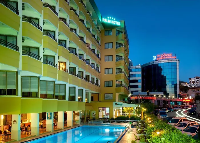 Palm 4*