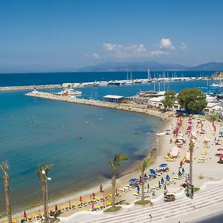 Palm クシャダス