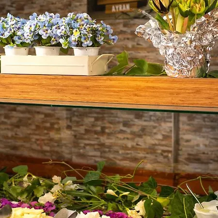 Hotel Palm Kusadası